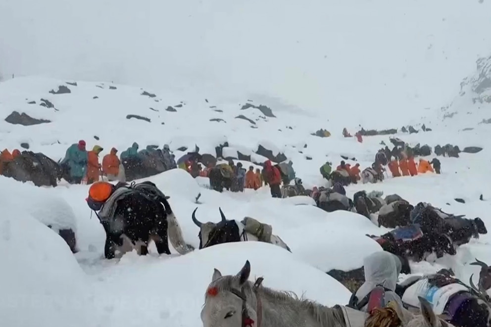 PHOTO: In this photo taken Oct. 4, 2025, and released by Lingsuiye, villagers with their oxen and horses ascend the mountain during rescue efforts to reach hundreds of hikers trapped by heavy snow at tourist campsites on a slope of Mount Everest in Tibet.