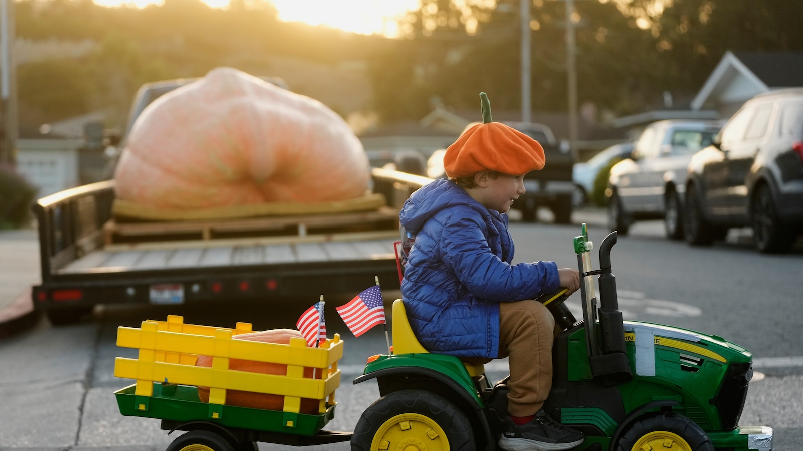 Giant pumpkins battle for heavyweight glory and the world record in California