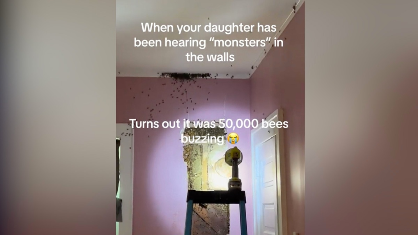 'Monsters' in toddler's bedroom turn out to be massive beehive - ABC News