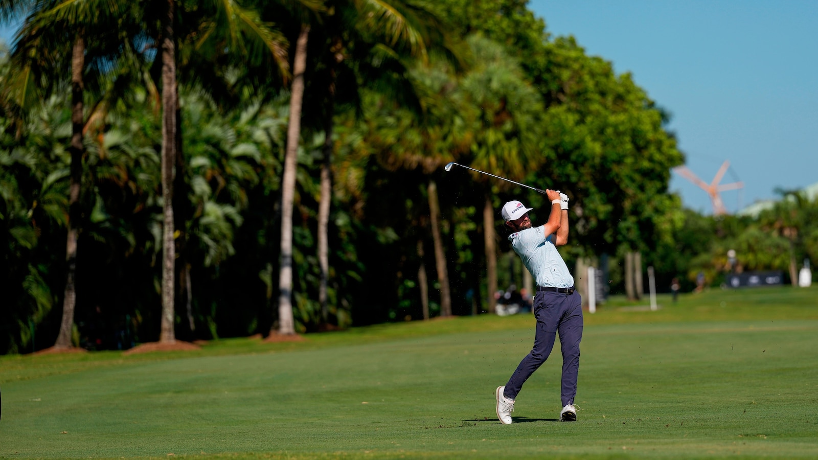Cameron Young calls tough penalty on himself, immediately gets rewarded by golf gods at Doral