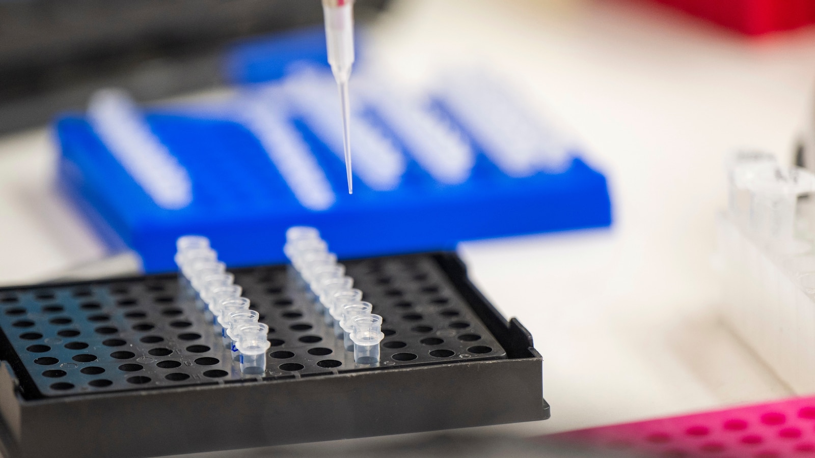 US bans imports from 3 Chinese biotech companies over forced labor allegations US bans imports from 3 Chinese biotech companies over forced labor allegations
