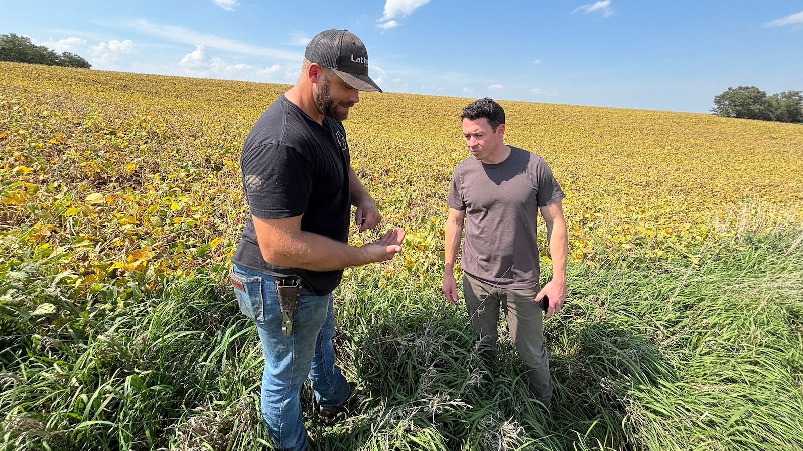 Soybean farmers caught in looming crisis as US trade war with China cripples sales