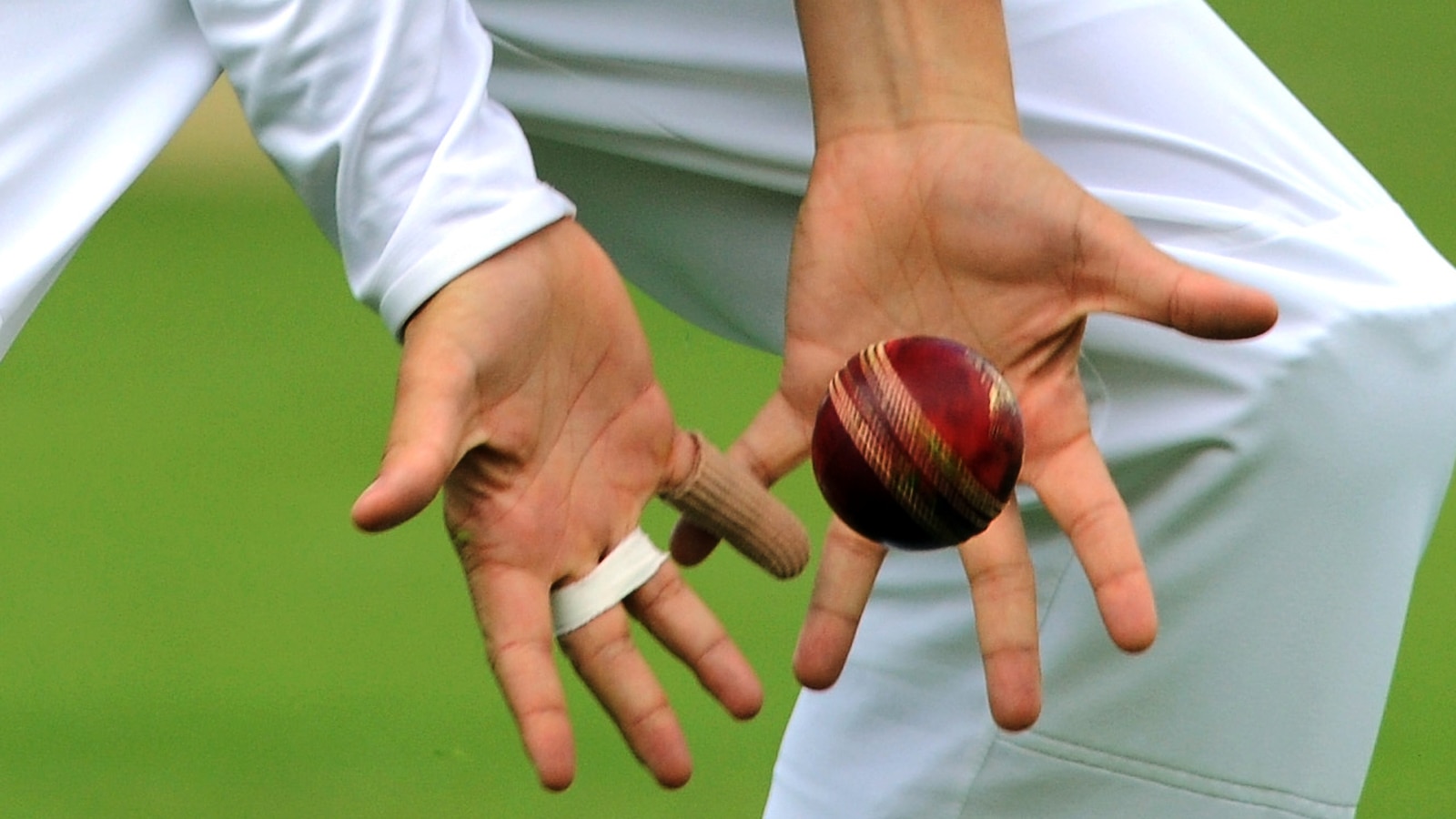 Amateur cricket match goes viral after cheating allegation