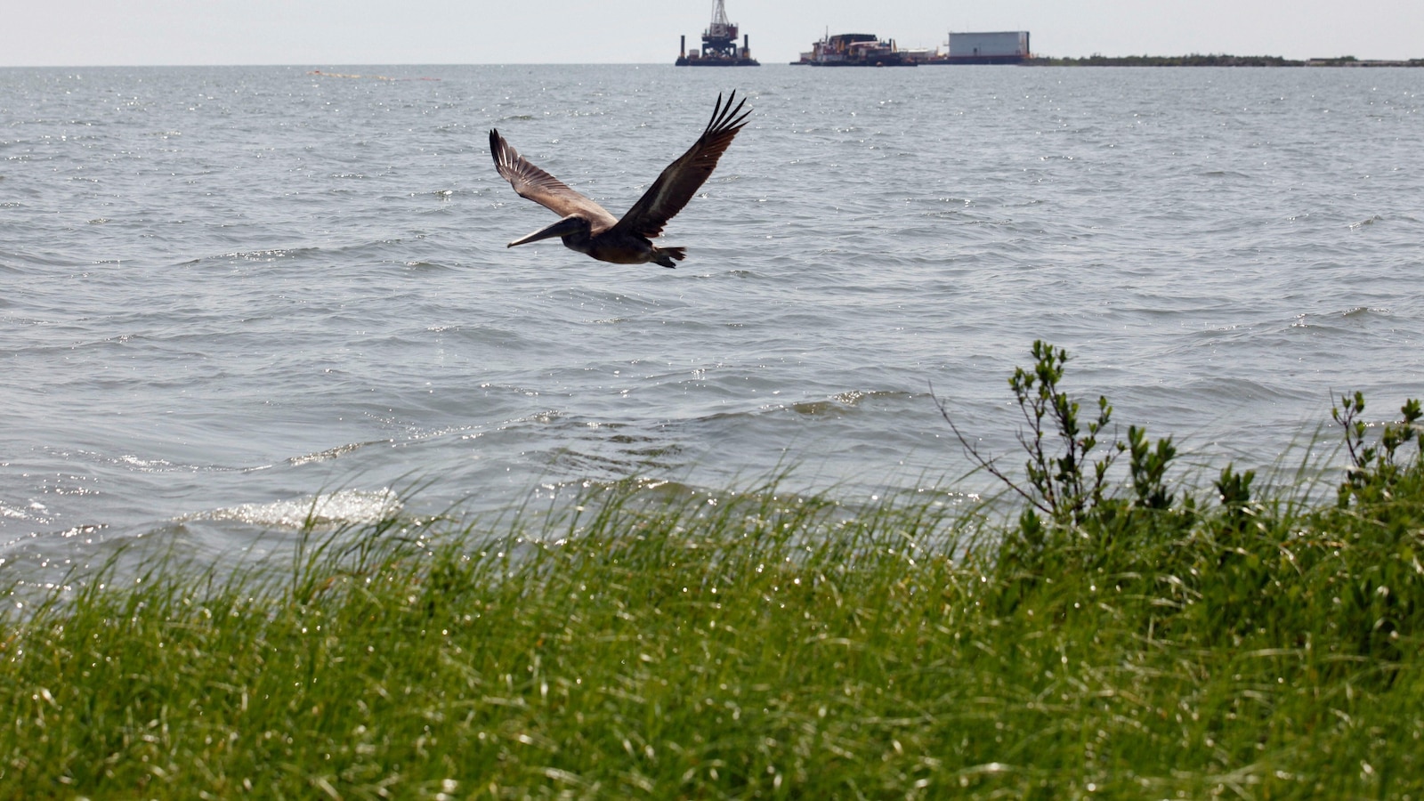  Record $9.6M fine for Third Coast after substantial oil spill in the Gulf of Mexico