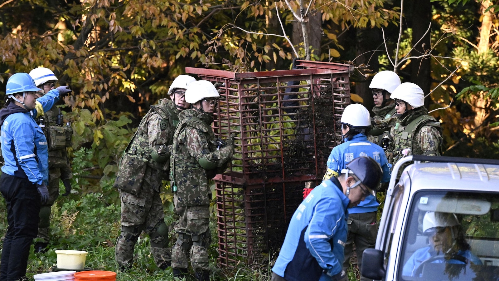 Japan sends troops to northern region to stop bear attacks after record casualties