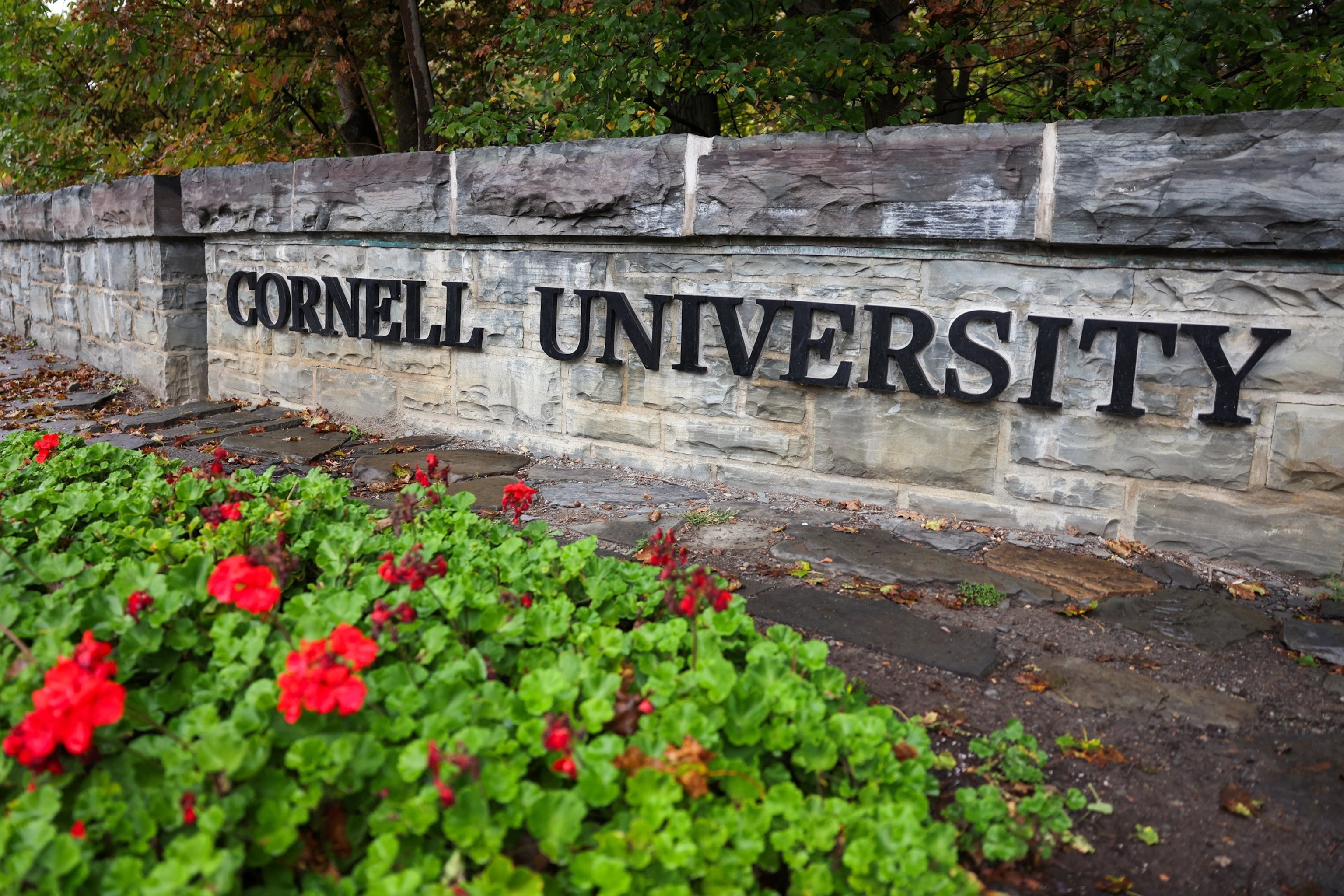 PHOTO: Student assembly at Cornell University in Ithaca, New York