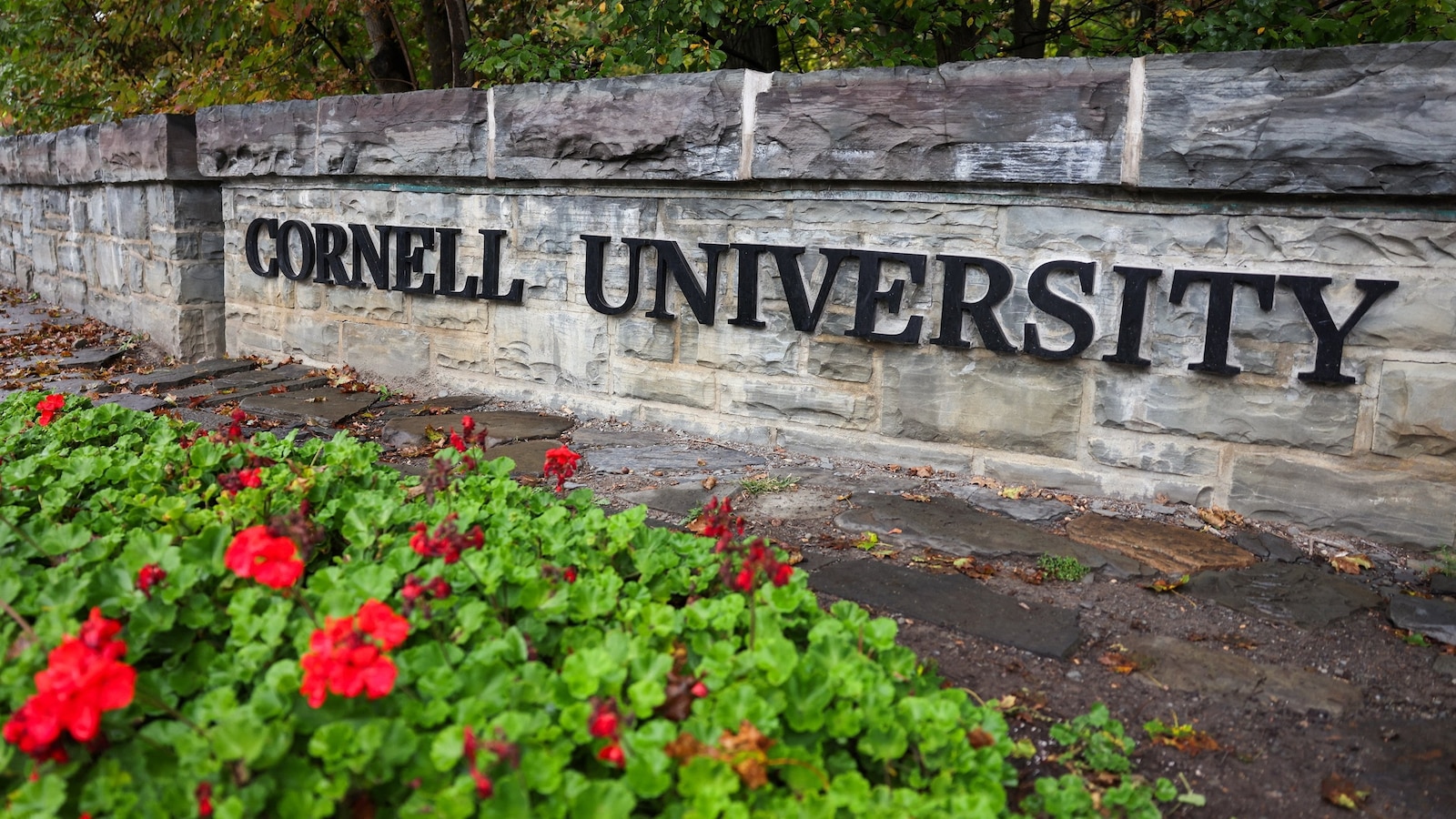 Newly reviewed text messages show Jane Doe telling one of the Cornell fraternity brothers who allegedly sexually assaulted her that 90% of what happened during the encounter was "not consensual," saying it made her feel “like a sex doll.”