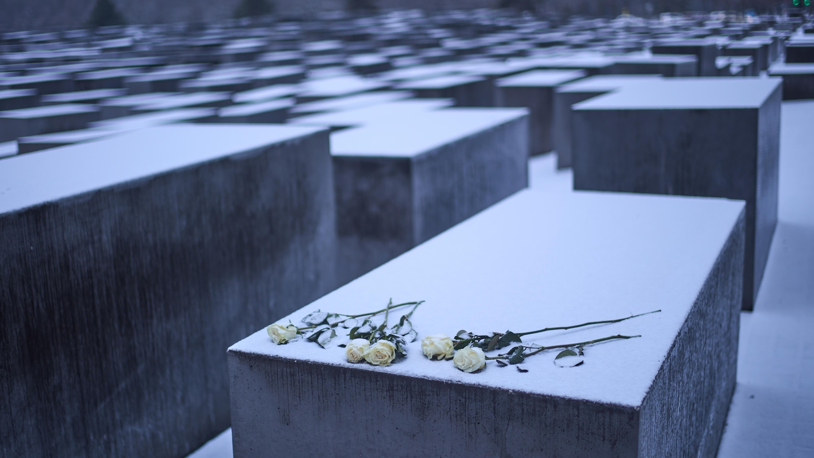De wereld staat stil bij de Internationale Holocaustherdenkingsdag