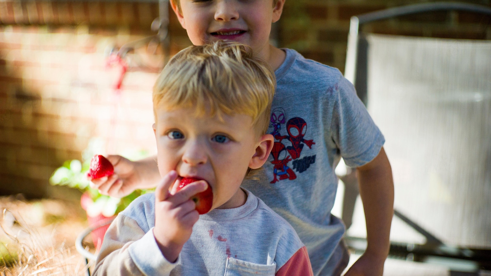 WIC food program receives $300M to keep running during government shutdown