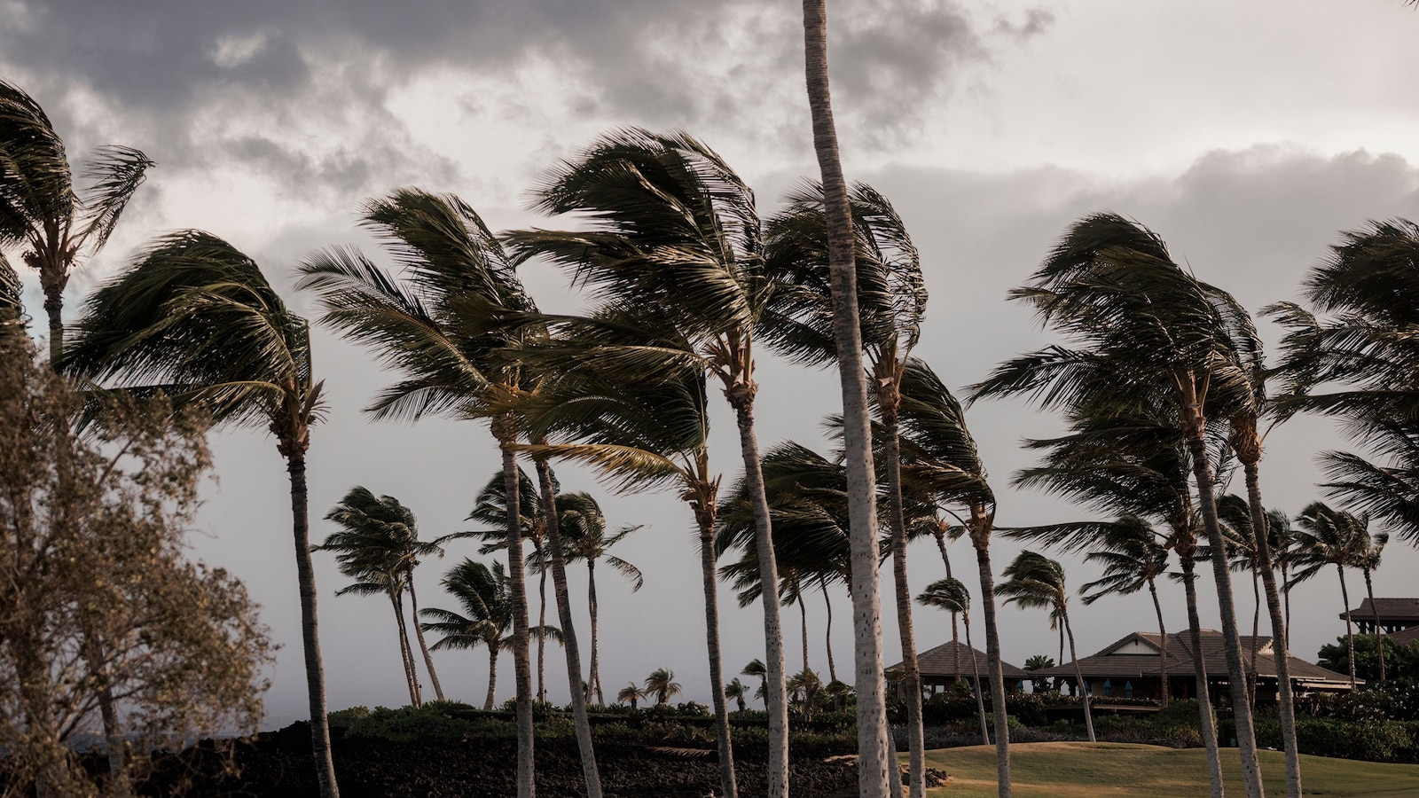 Thumbnail for Lala becomes hurricane as it approaches Hawaii