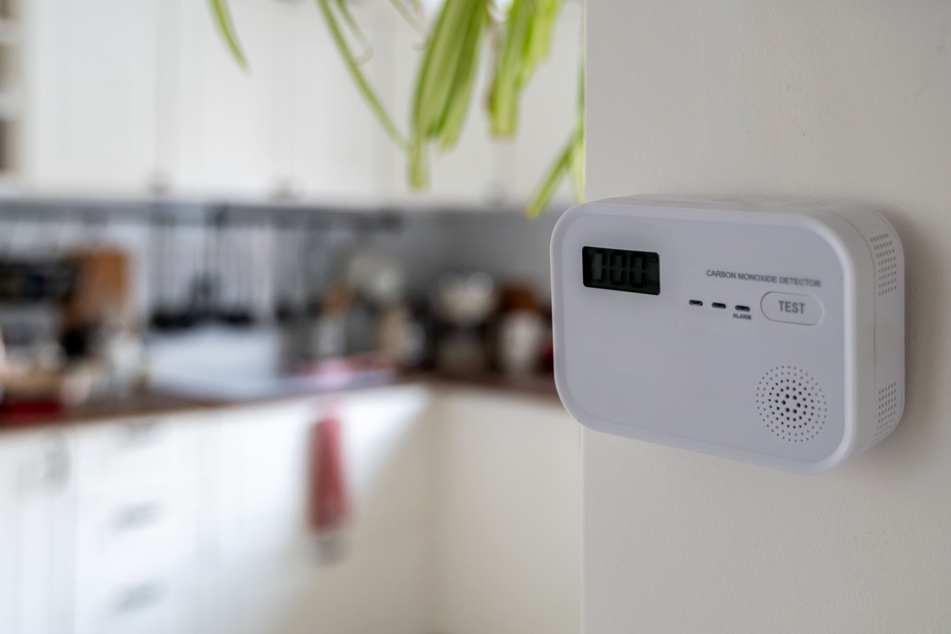 PHOTO: Carbon monoxide detector placed on kitchen wall