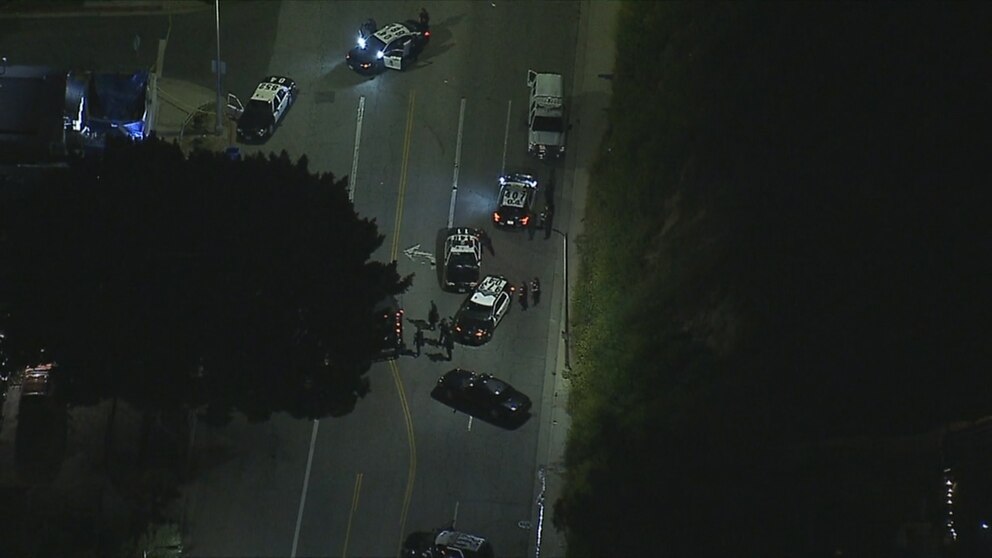 Video Suspect dead, 3 officers hospitalized after LA shooting - ABC News
