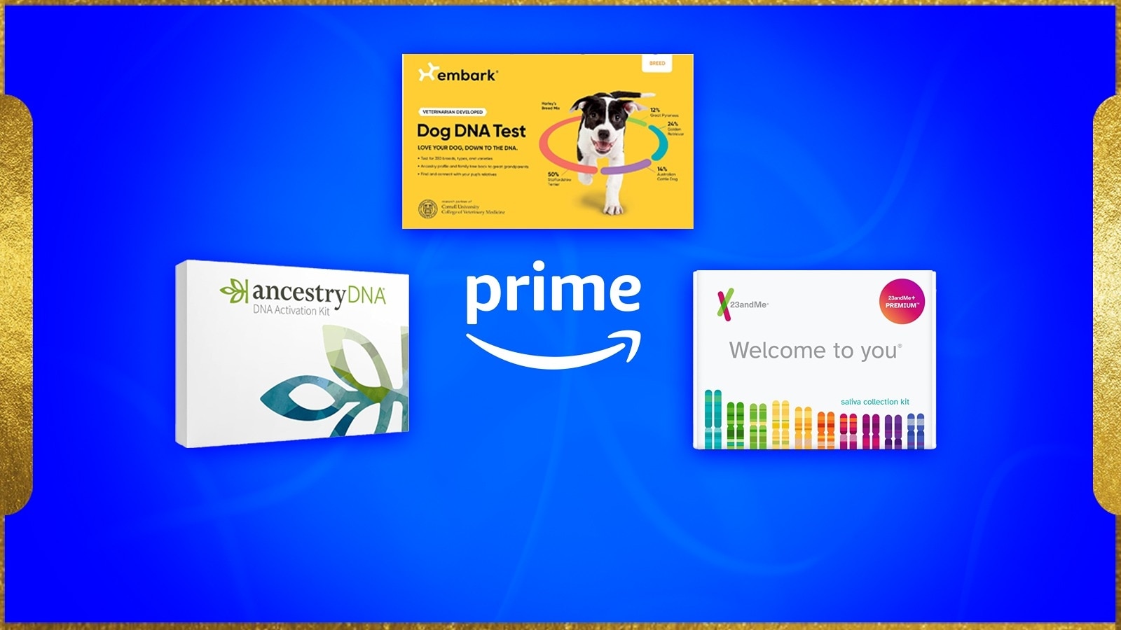 Prime Day deals on DNA kits
