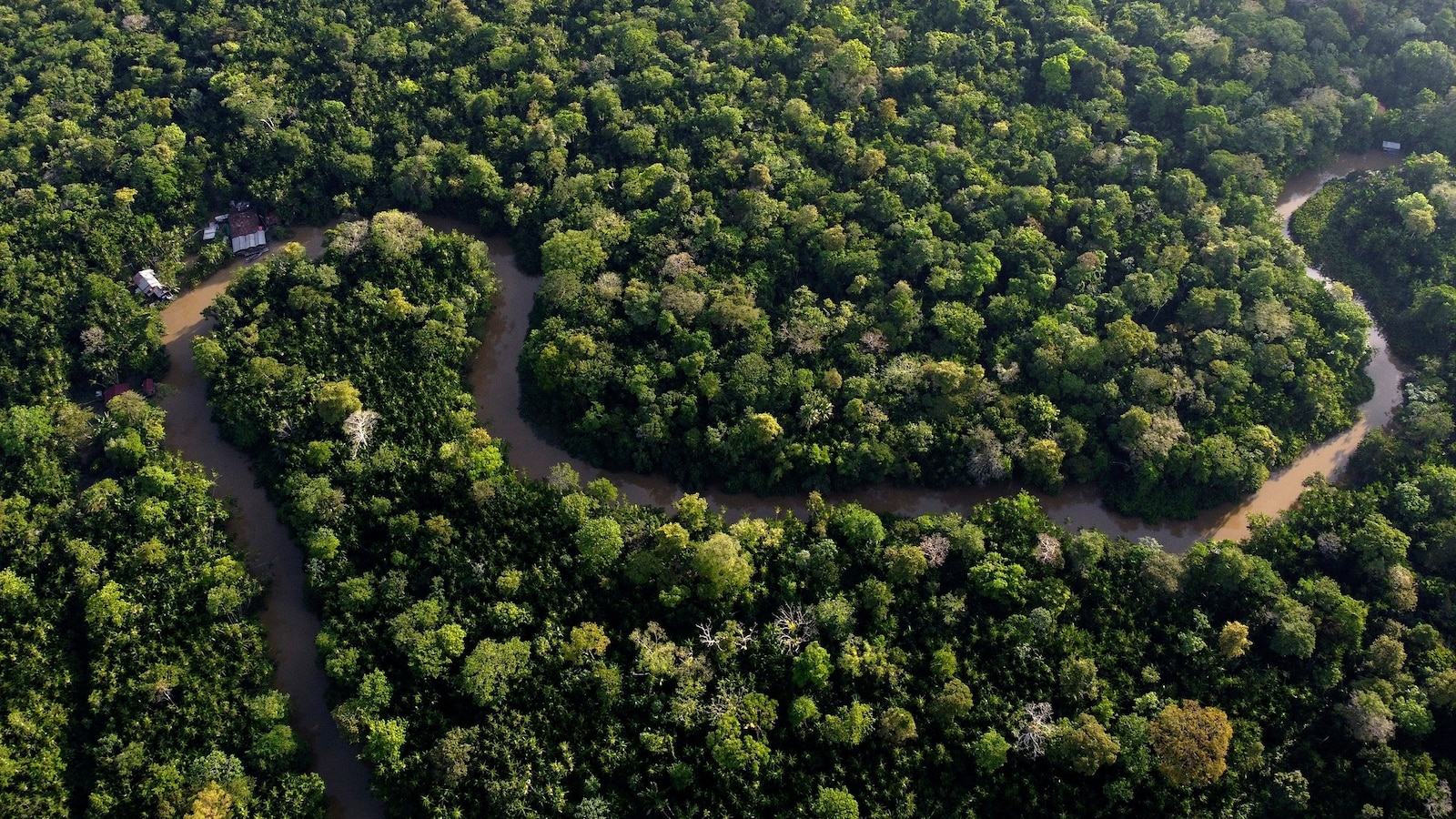 Satellite appears to show new highway cutting through Brazil's Amazon ...