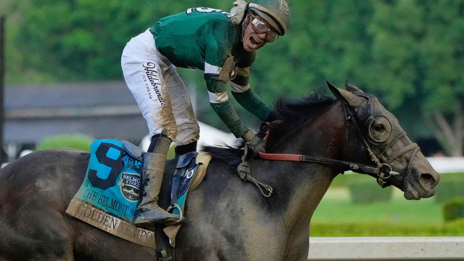 Derby-Sieger Golden Tempo gewinnt die Belmont Stakes