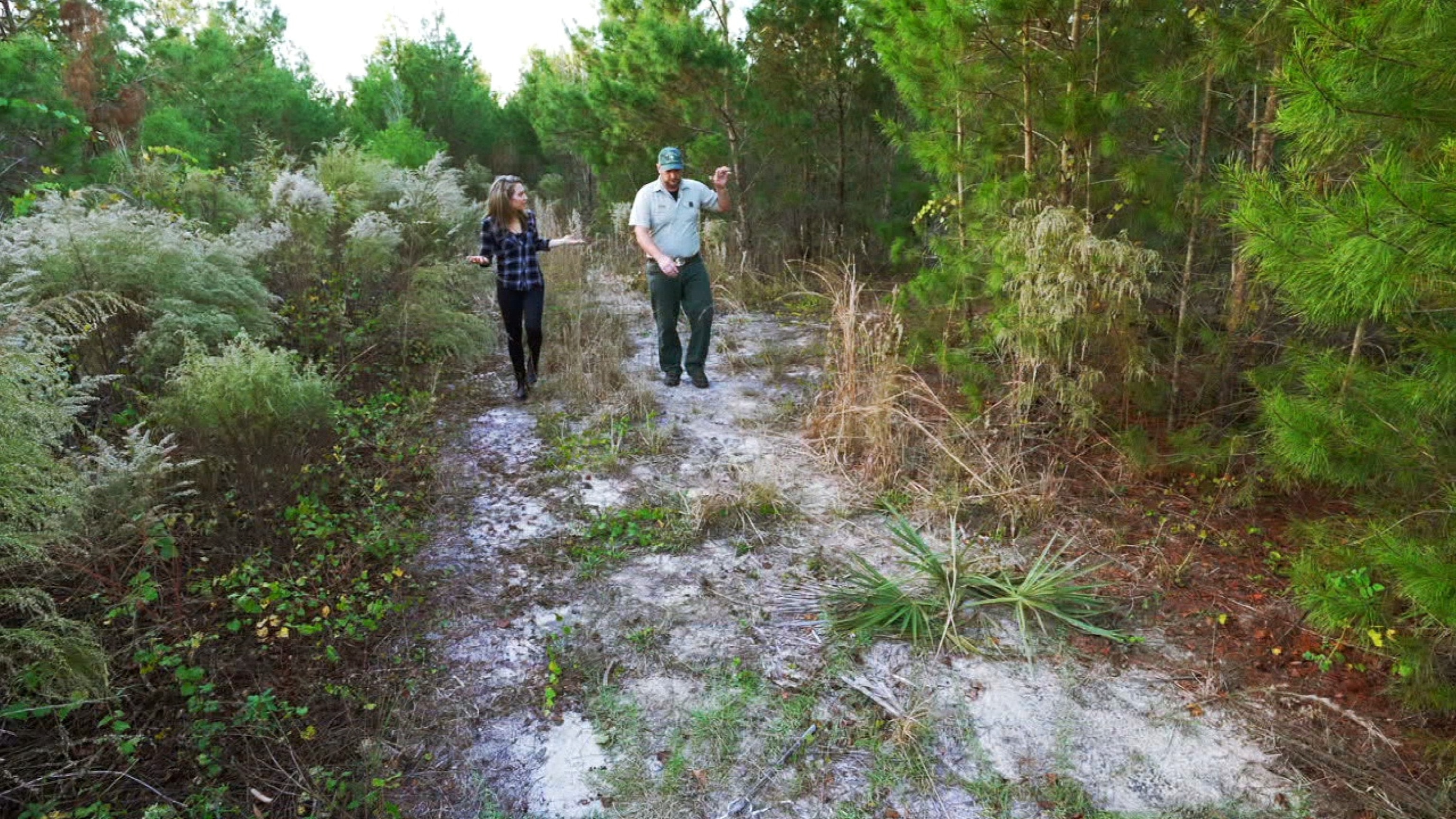 PHOTO: ABC News' Ginger Zee visits the Ocala National Forest in Florida. 