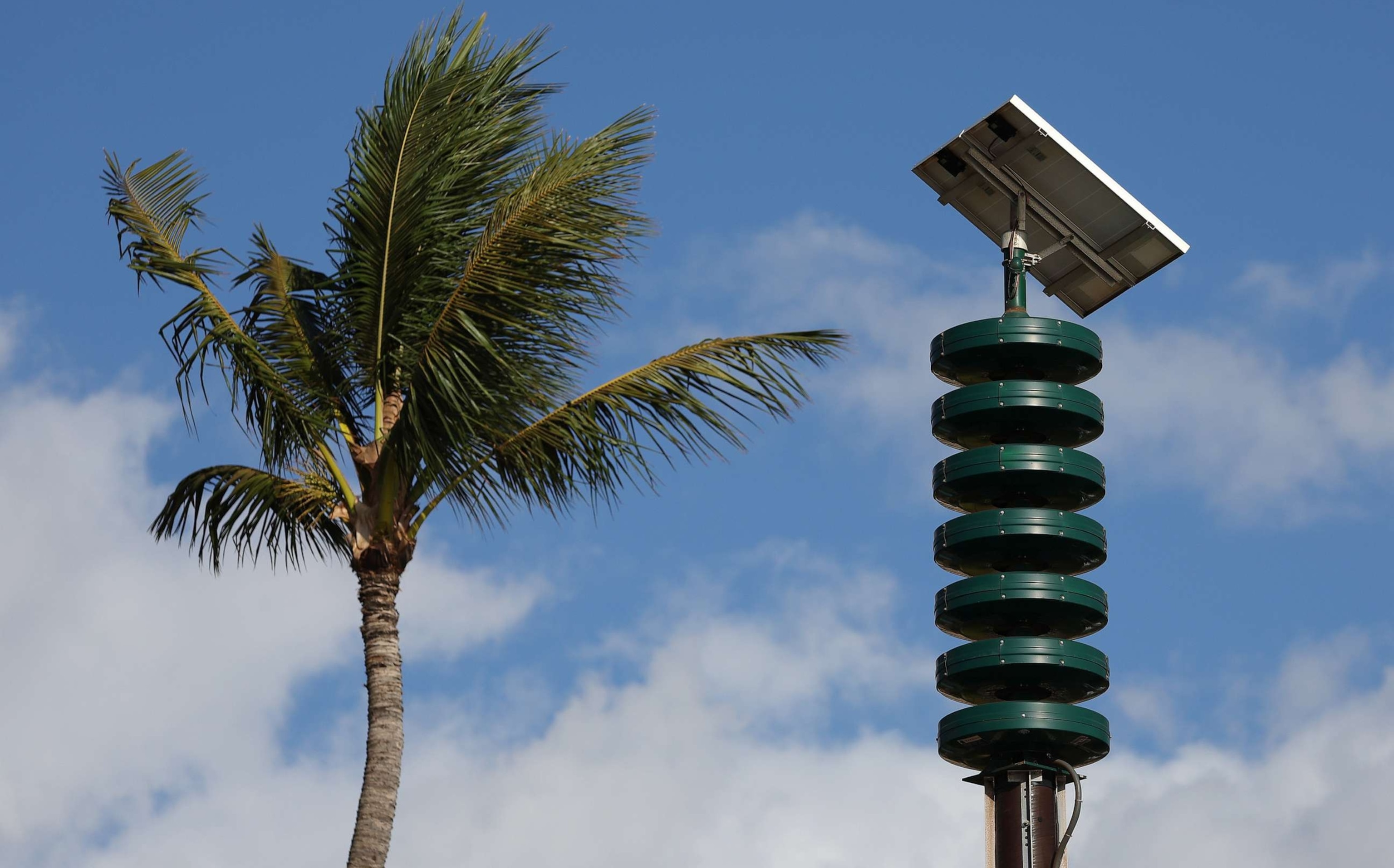 PHOTO: A statewide outdoor warning siren system stands in a neighborhood of Kihei, Hawaii, Aug. 13, 2023.