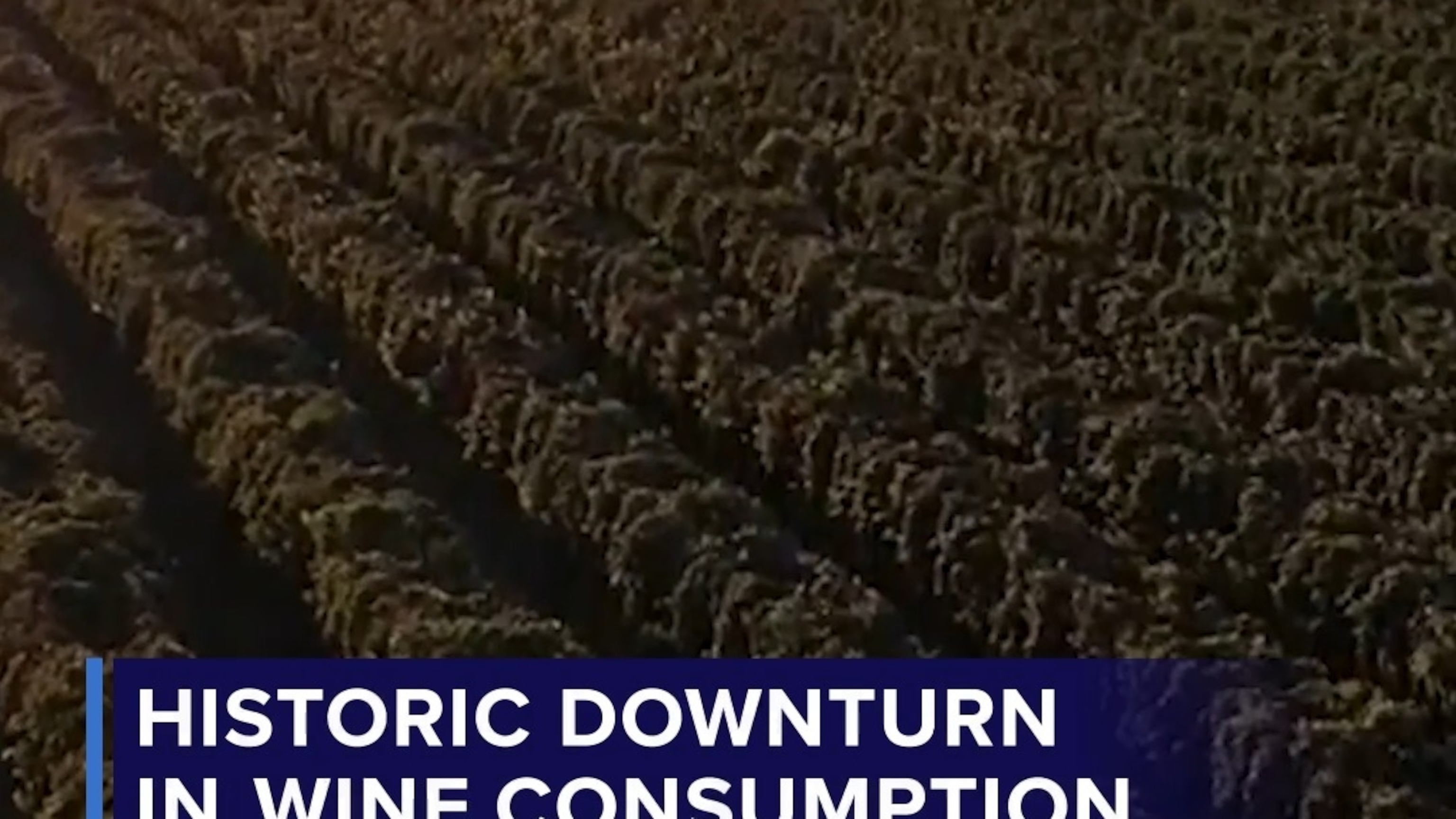 Historic downturn in wine consumption in U.S.