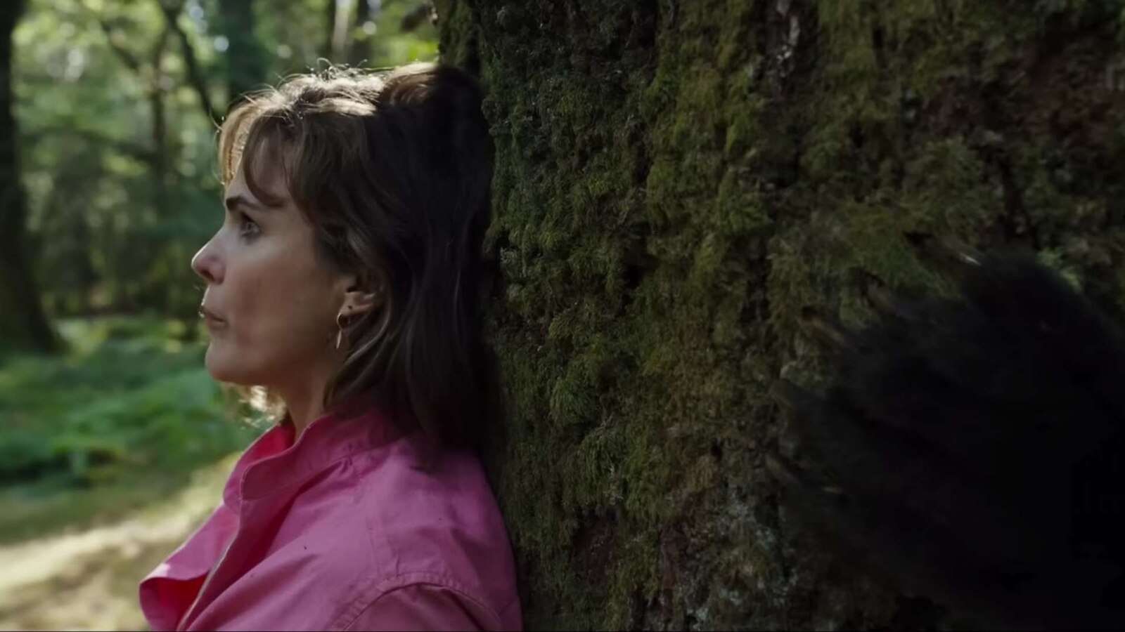 Movie still from "Cocaine Bear" official trailer.