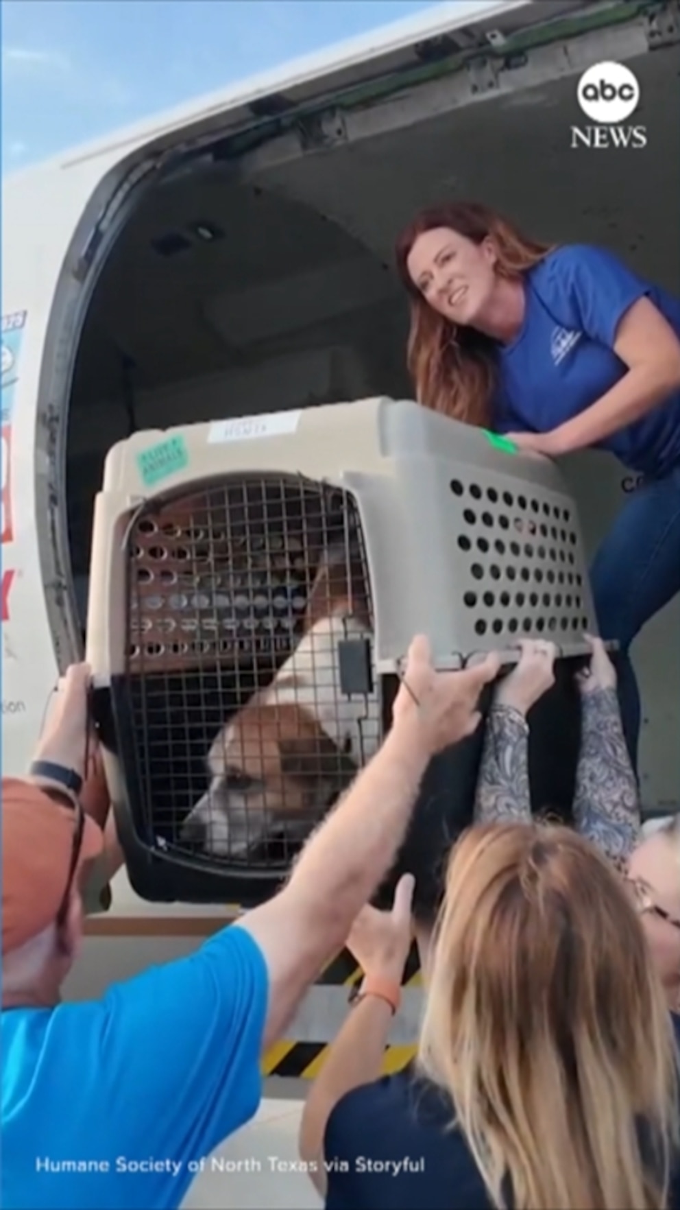 NextImg:Video Shelter animals relocated after Texas floods