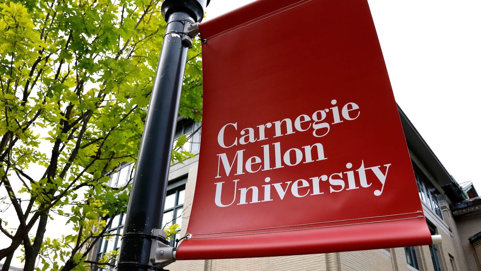 Colleges face financial struggles as Trump policies send international enrollment plummeting