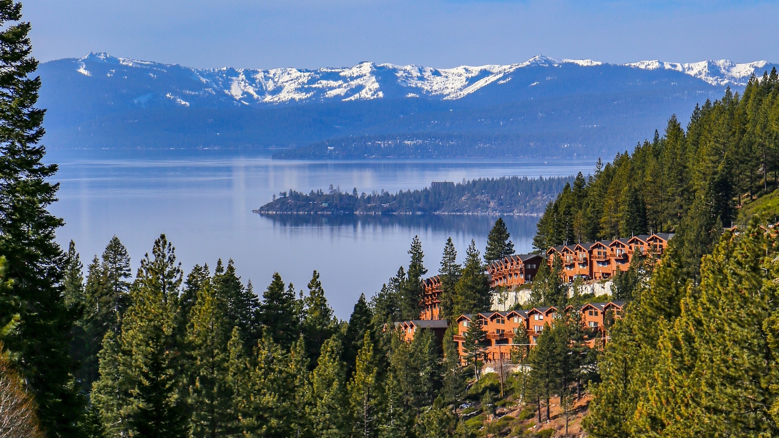 Authorities are investigating a series of intentional tree poisonings on a beach on Lake Tahoe that have impacted multiple trees over the past two weeks, accord