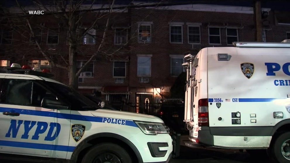 Video Grandmother charged with attempted murder after 7-year-old ...