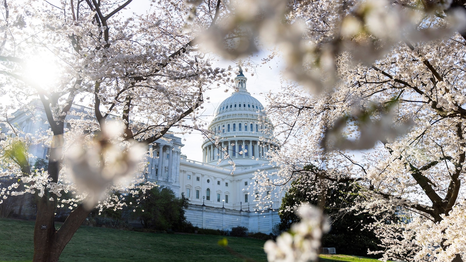 Potential DHS funding deal taking shape, but roadblocks still ahead