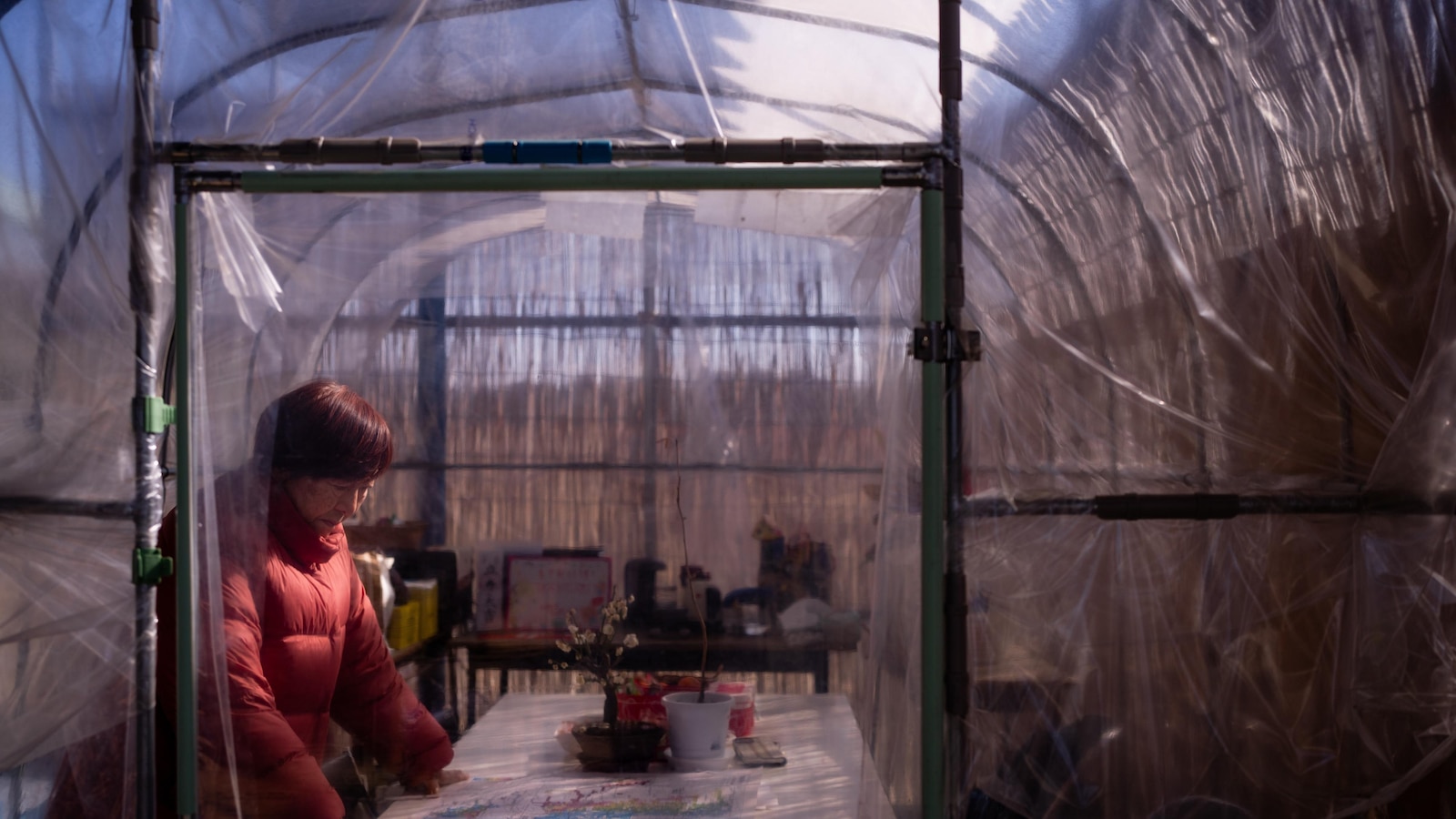 15 years after Fukushima meltdown, an innkeeper makes radiation surveys to revitalize her hometown