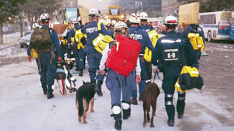 In the days, weeks and months after the 9/11 attacks, more than 300 dogs took part in the search, rescue, and recovery efforts at ground zero, according to the 9/11 Memorial & Museum, which refers to the dogs as the "four-legged 9/11 heroes."