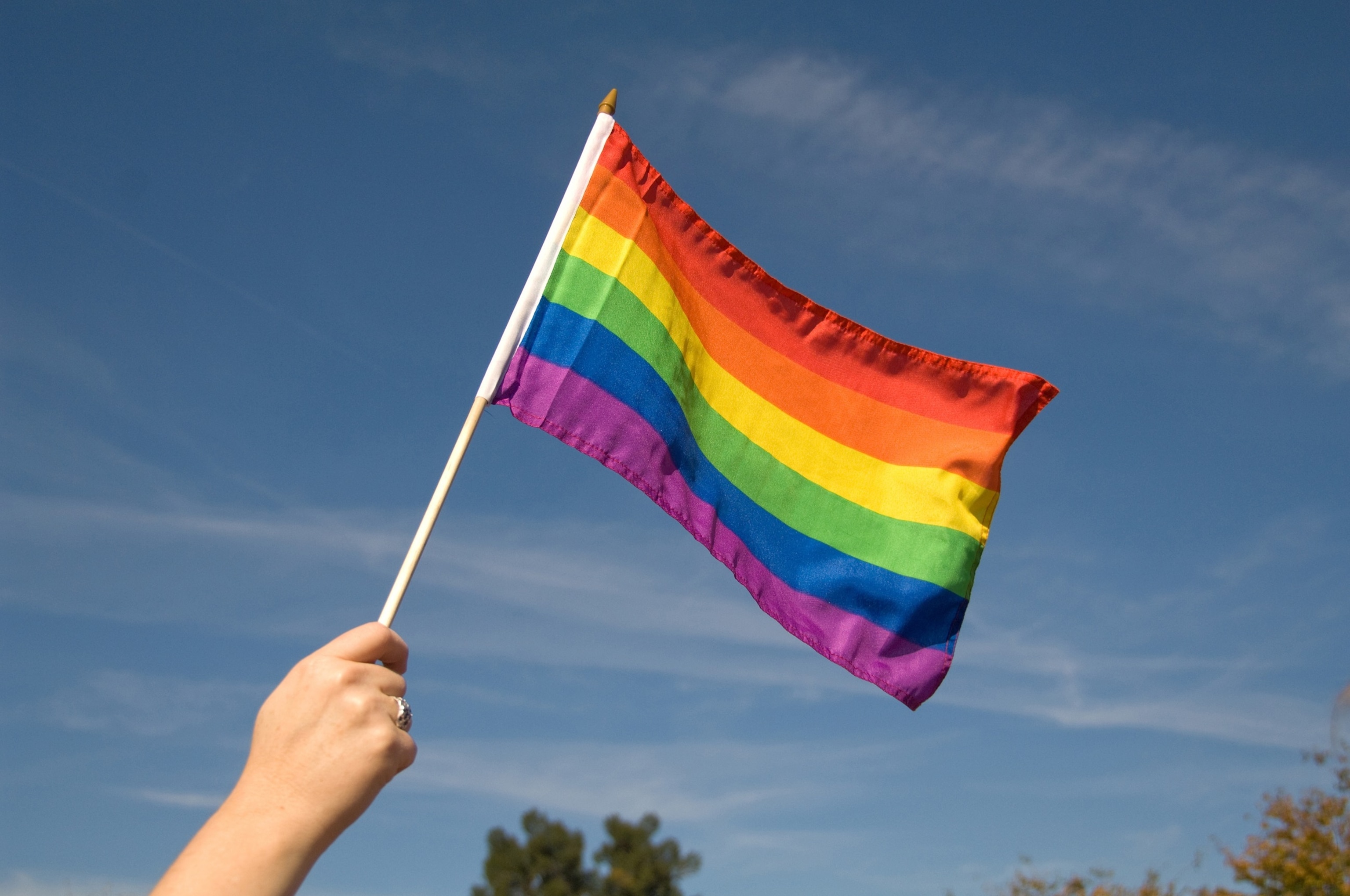 PHOTO: Rainbow Pride Flag from National Equality March