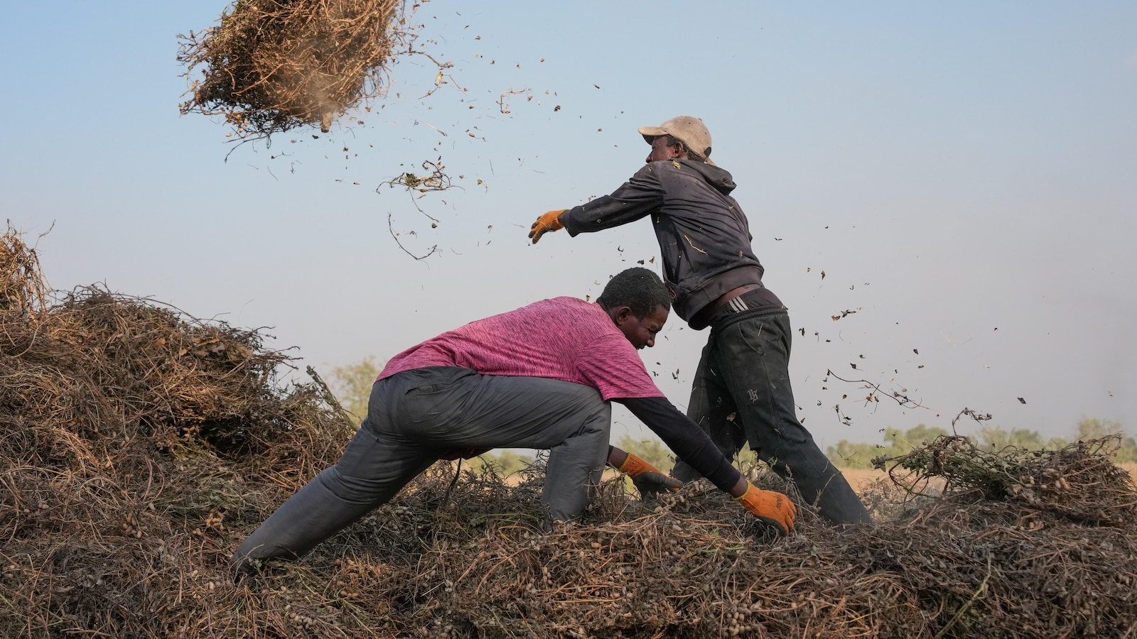 Младите африканци намират надежда в селското стопанство, тъй като животът в градовете става твърде скъп