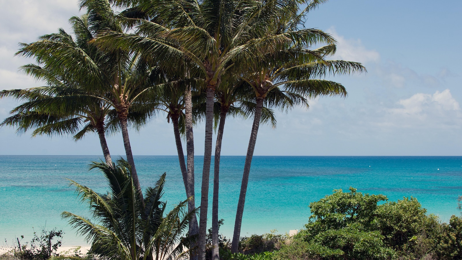 Cruise passenger, 80, found dead after being abandoned on Great Barrier Reef island Cruise passenger, 80, found dead after being abandoned on Great Barrier Reef island
