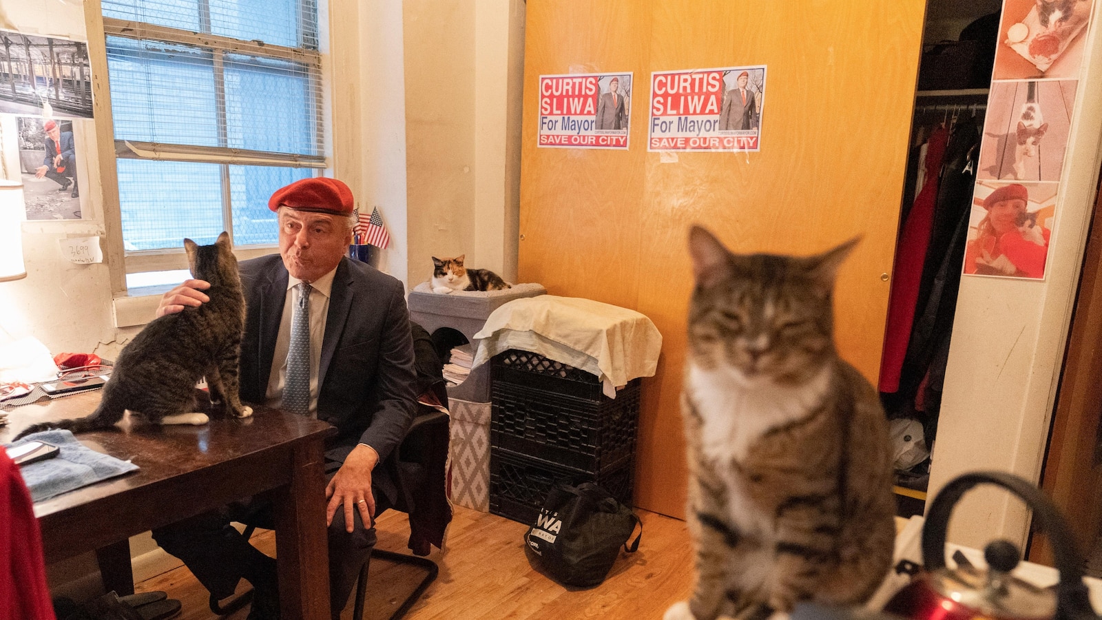 Trump's SHOCKING Dismissal of NYC Mayoral Candidate: Cats, Politics, and a Primetime Predicament