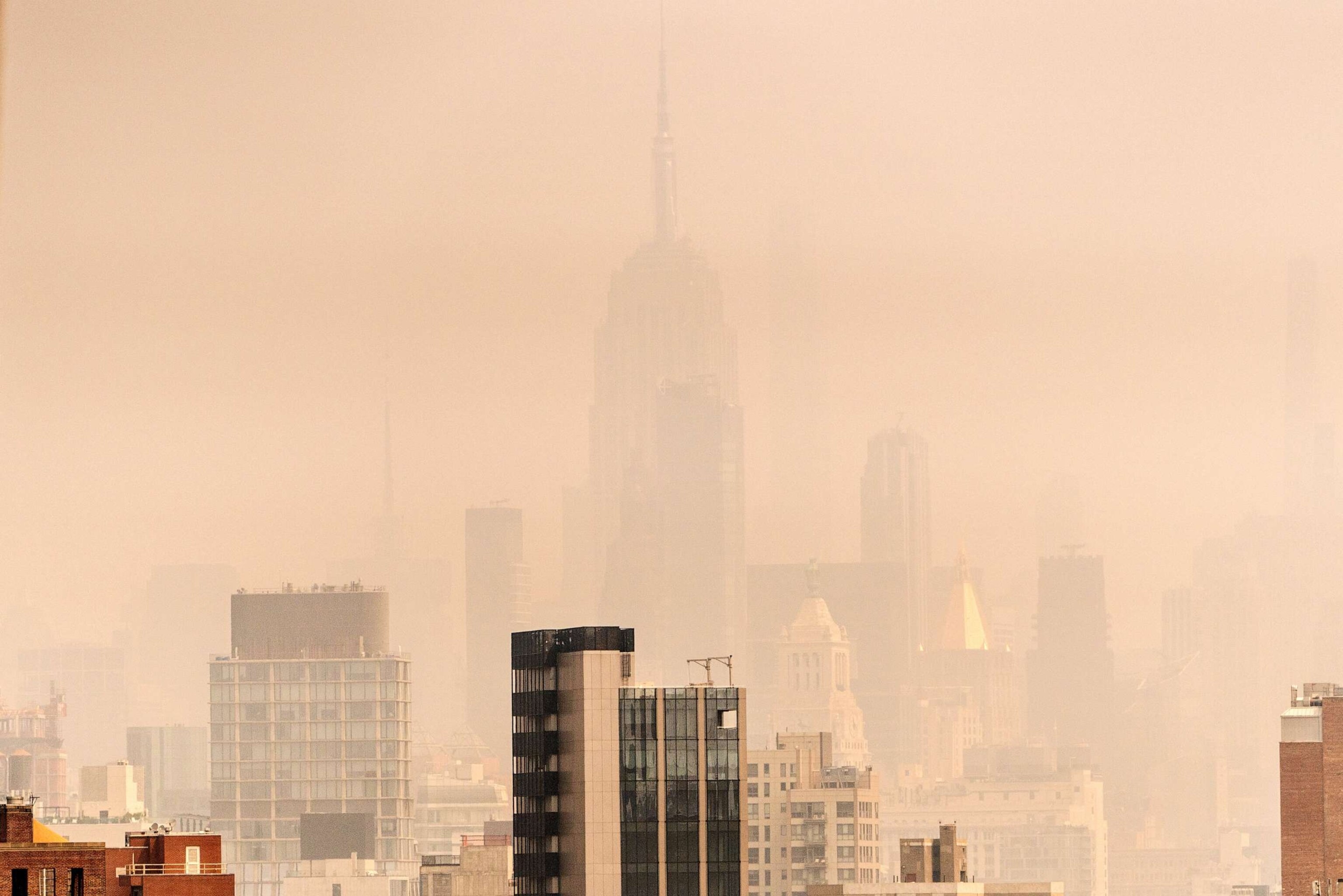 Expert calls for government regulation of wood heaters to reduce smoke  pollution - ABC News