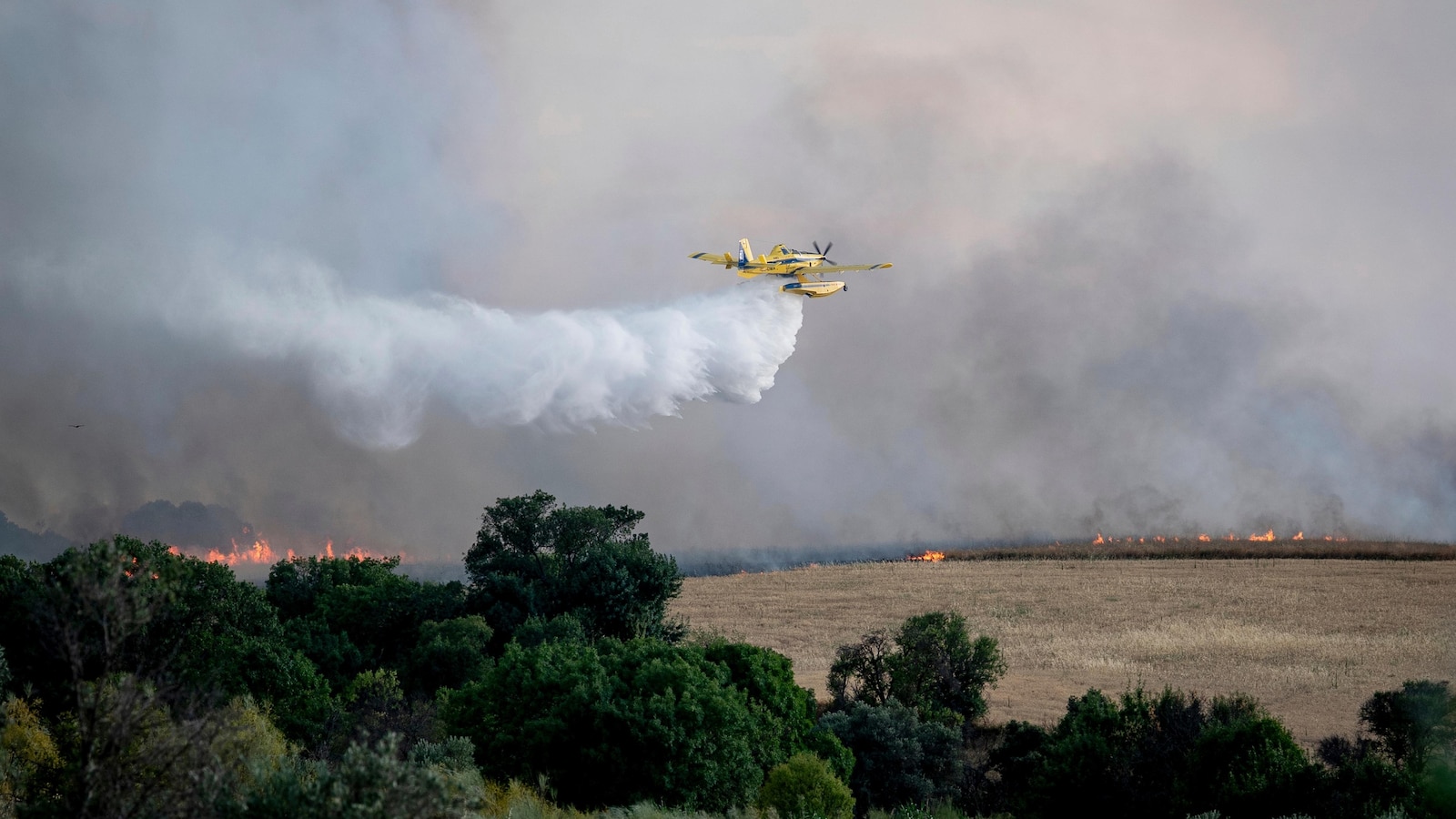 An uncontrolled wildfire sends a cloud of smoke over Spain's capital