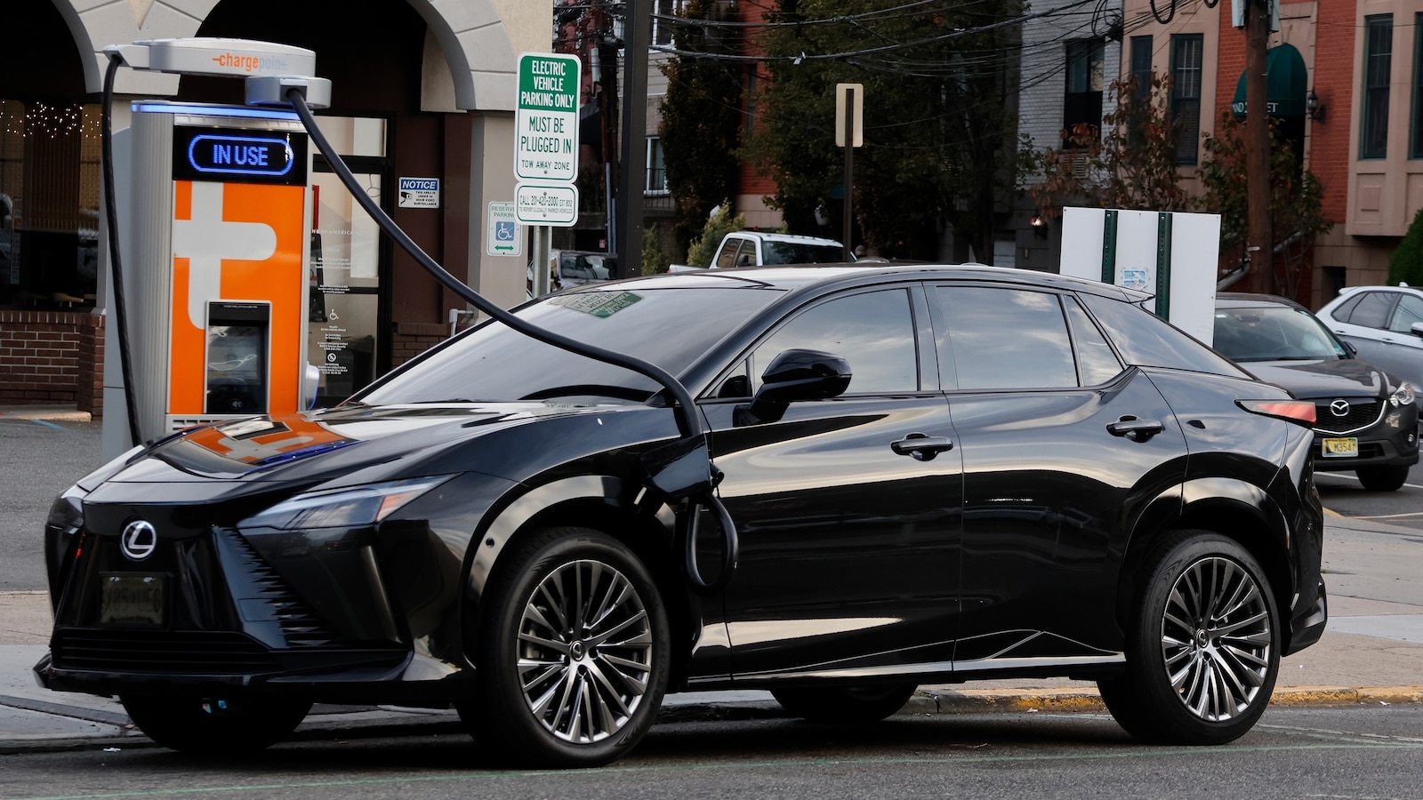 Electric vehicle sales are plummeting. Will they soon become too niche?