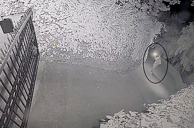 Man charged after allegedly throwing Molotov cocktail at OpenAI CEO Sam Altman’s home