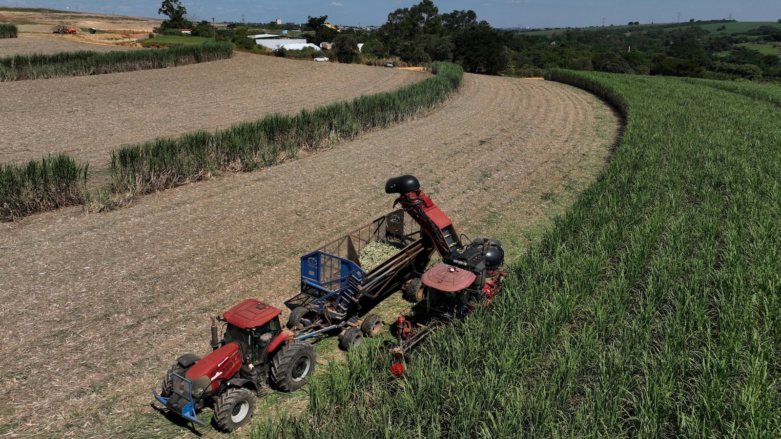Brazil’s dual-fuel ethanol fleet stabilizes gasoline prices despite Iran war oil shock
