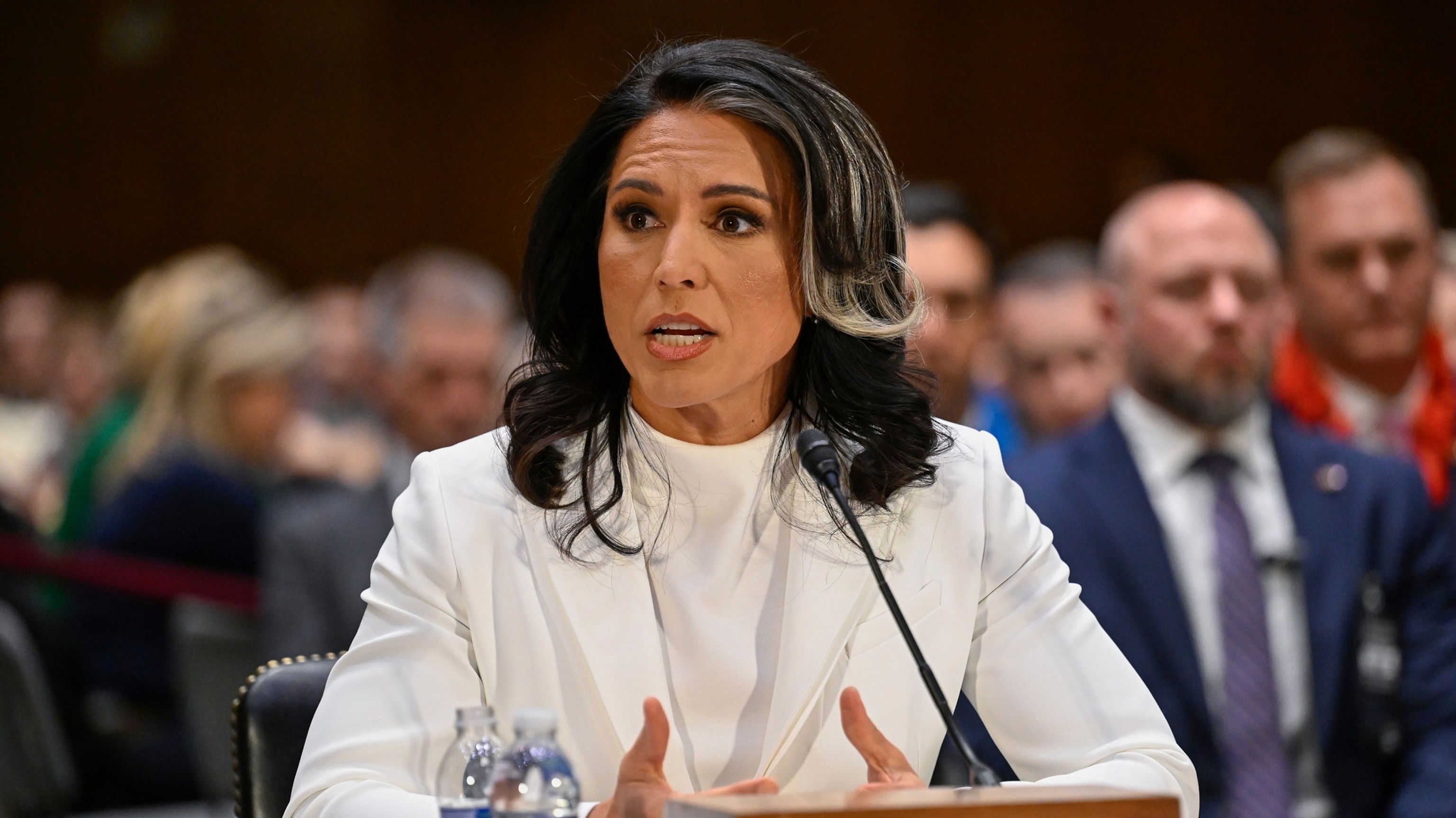 Tulsi Gabbard