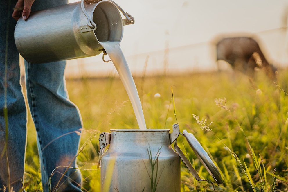 PHOTO: A person pours raw milk into a container in an undated stock photo. 