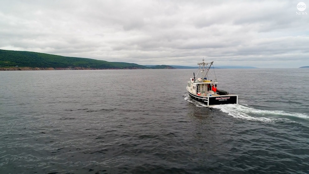 Video Study finds ocean damage nearly doubles climate costs