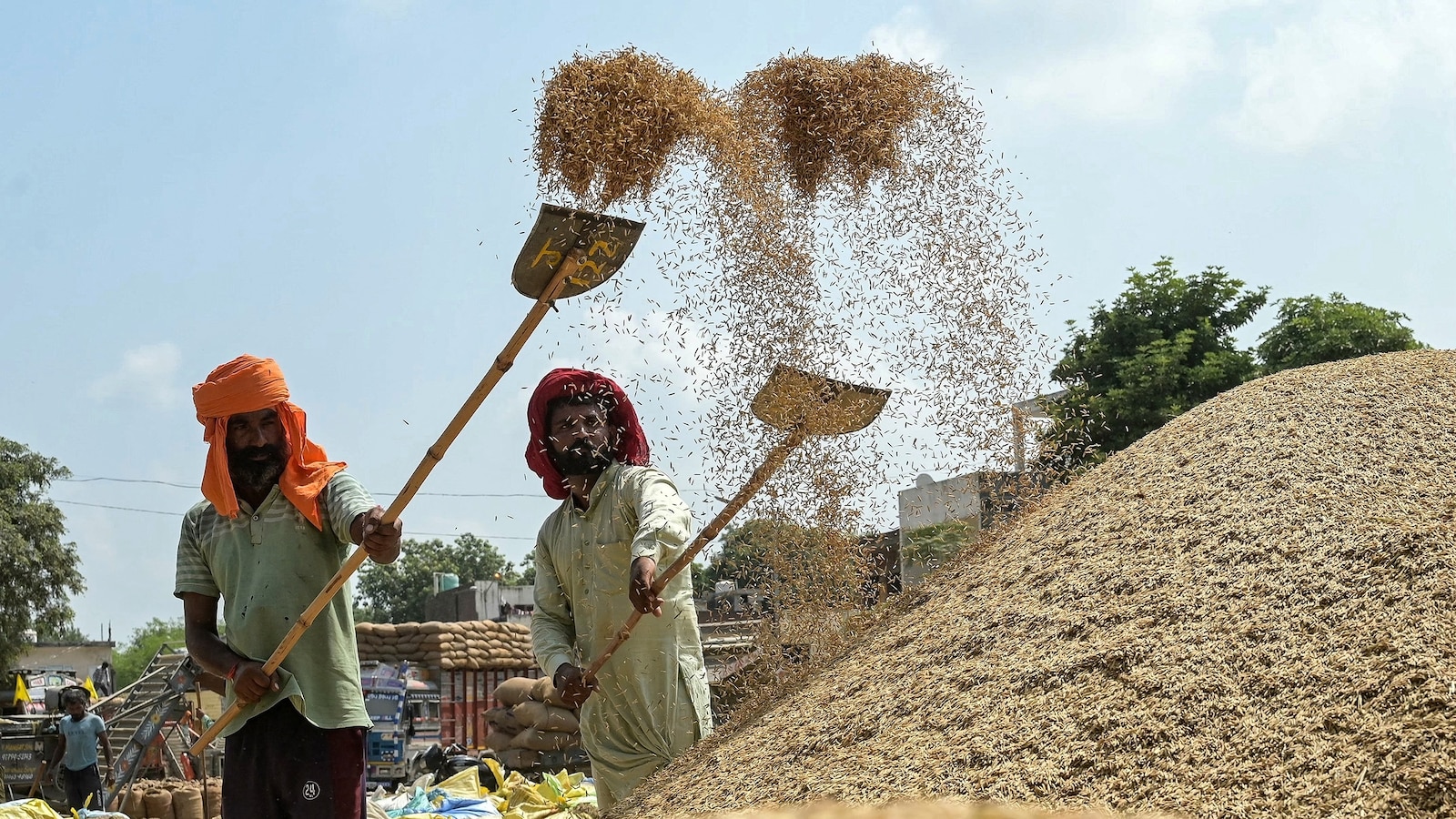 India Considers Exporting Wheat Products Amid Record Harvest