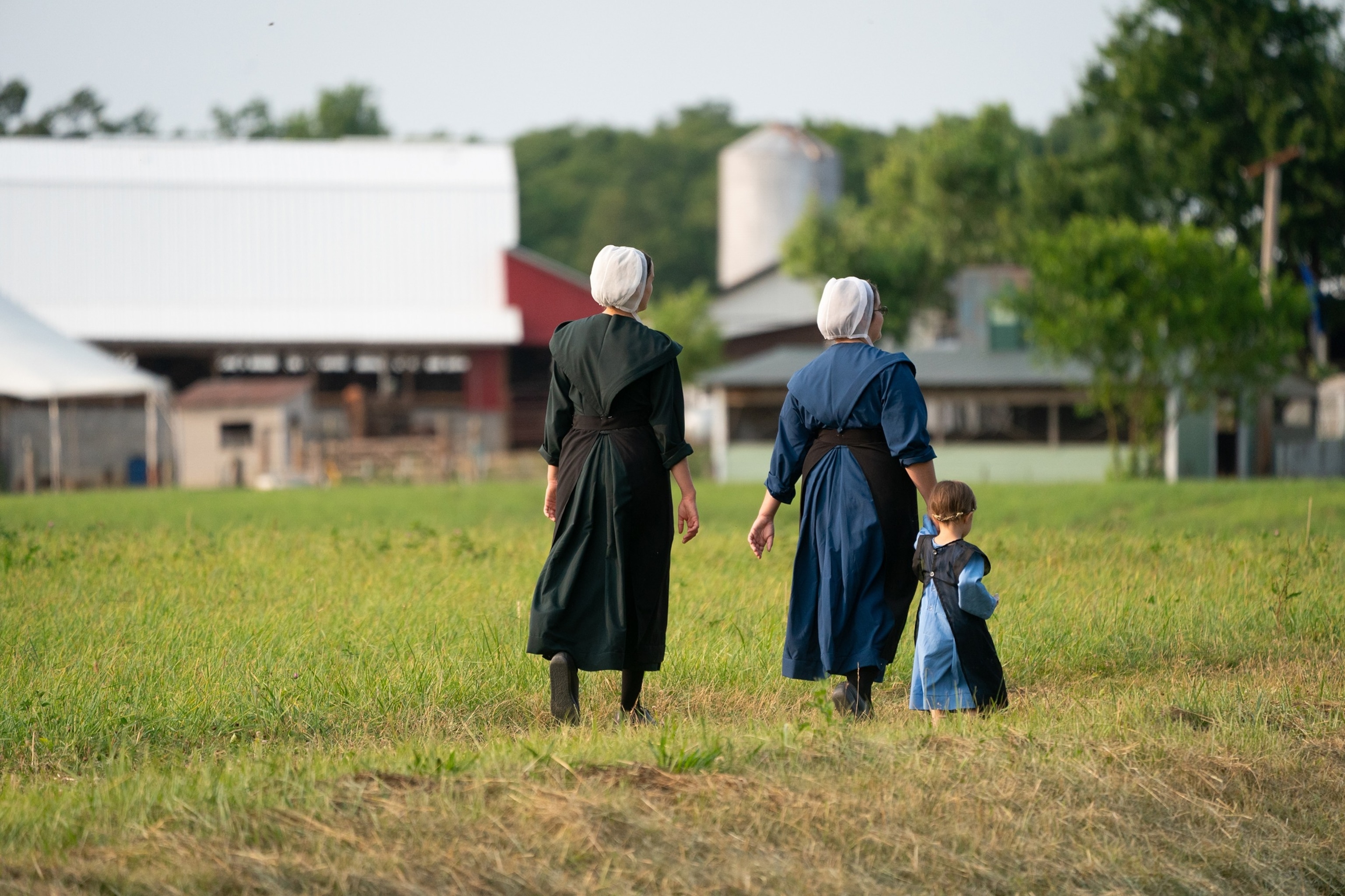 FOTO: Buggies Amish pasan por la casa de la partera Karen Carr en Mechanicsville, MD.