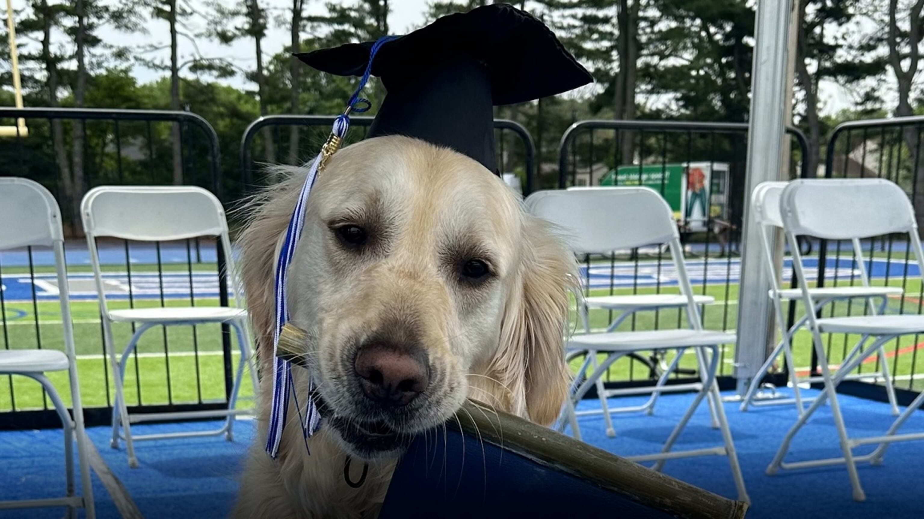 230622_gma_digital_doggraduate