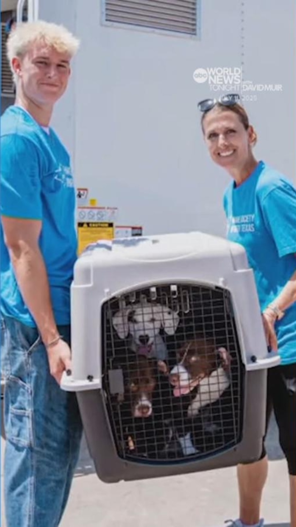 NextImg:Video Hundreds of cats, dogs rescued amid deadly Texas floods with help from volunteers