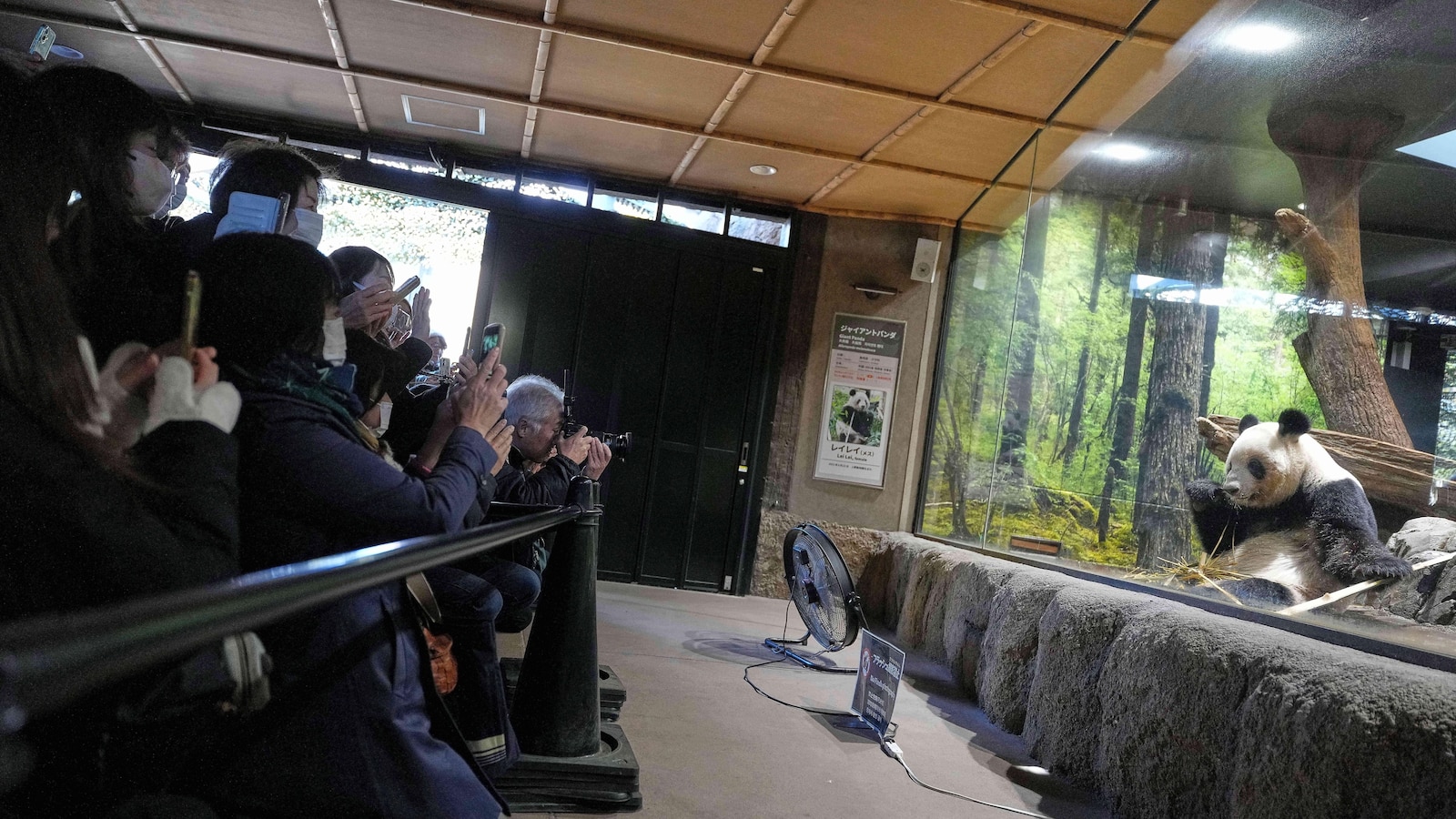 Thousands flock to see the last 2 pandas in Japan before their return to China