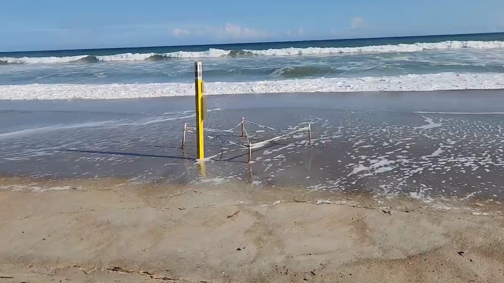 Hurricane Erin Destroys Dozens Sea Turtle Nests North Carolina, Florida