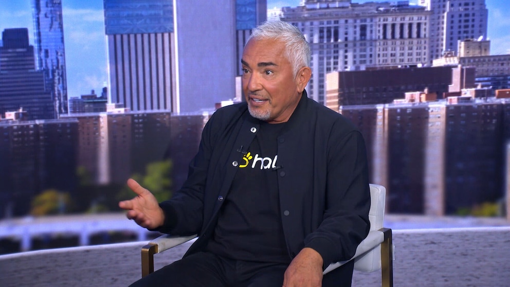 Dog Whisperer' Cesar Millan brings artificial intelligence to pet training  - ABC News