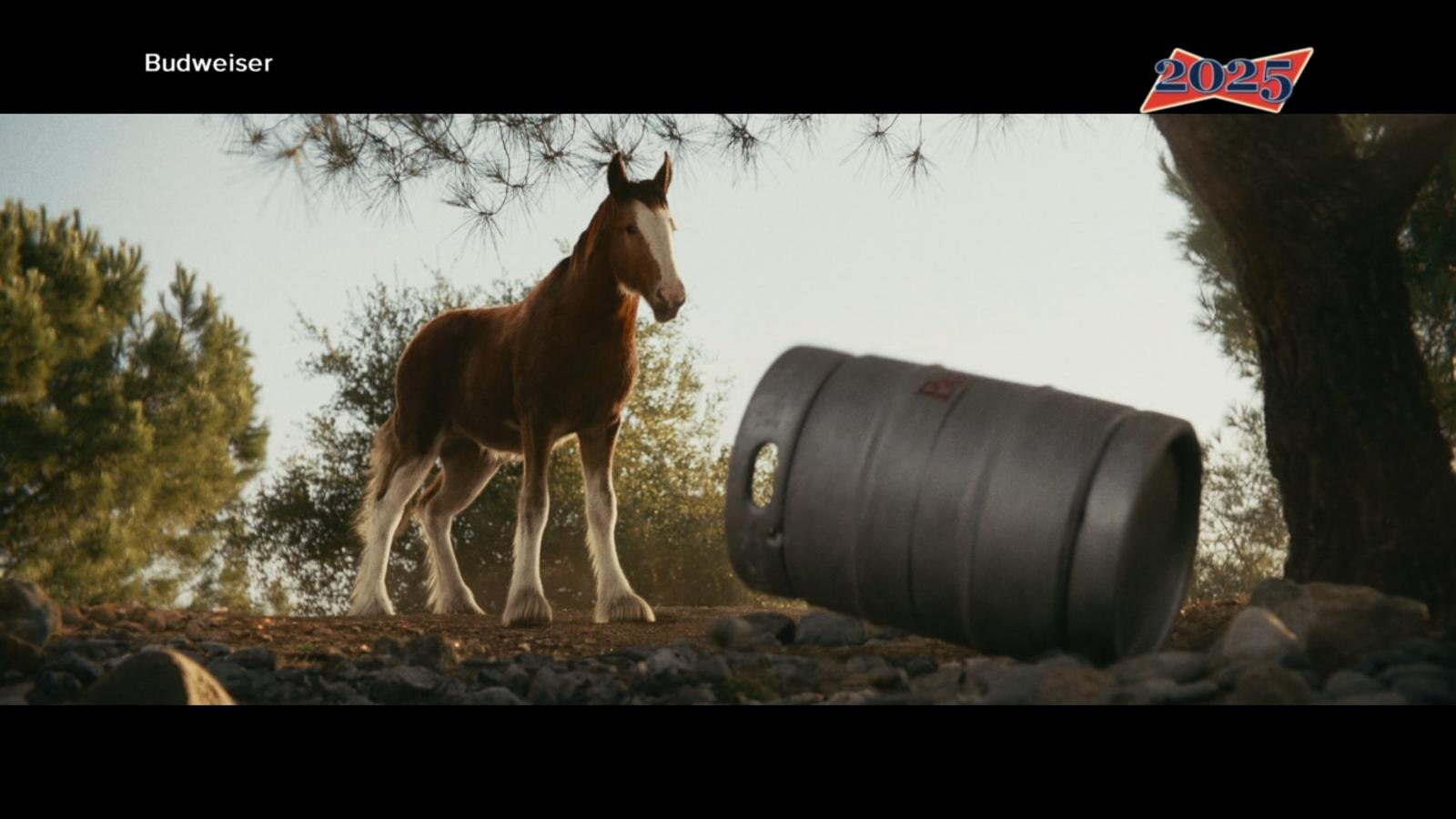 Budweiser unveils new Super Bowl ad